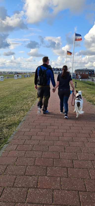 Bilder (Ausschnitte) aus verschiedenen Trainingssituationen, Hundetraining