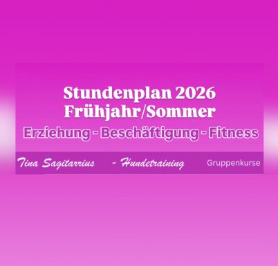 Bilder (Ausschnitte) aus verschiedenen Trainingssituationen, Hundetraining