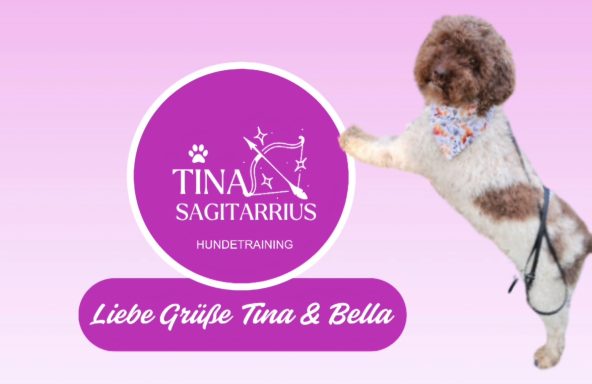 Bilder (Ausschnitte) aus verschiedenen Trainingssituationen, Hundetraining